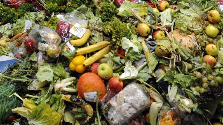 Researchers in Russia convert food waste into biofuel