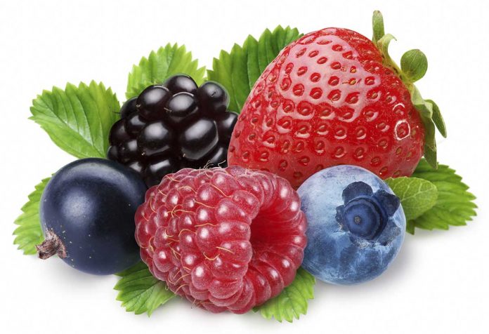 Maori, Crown to breed unique berries for global market