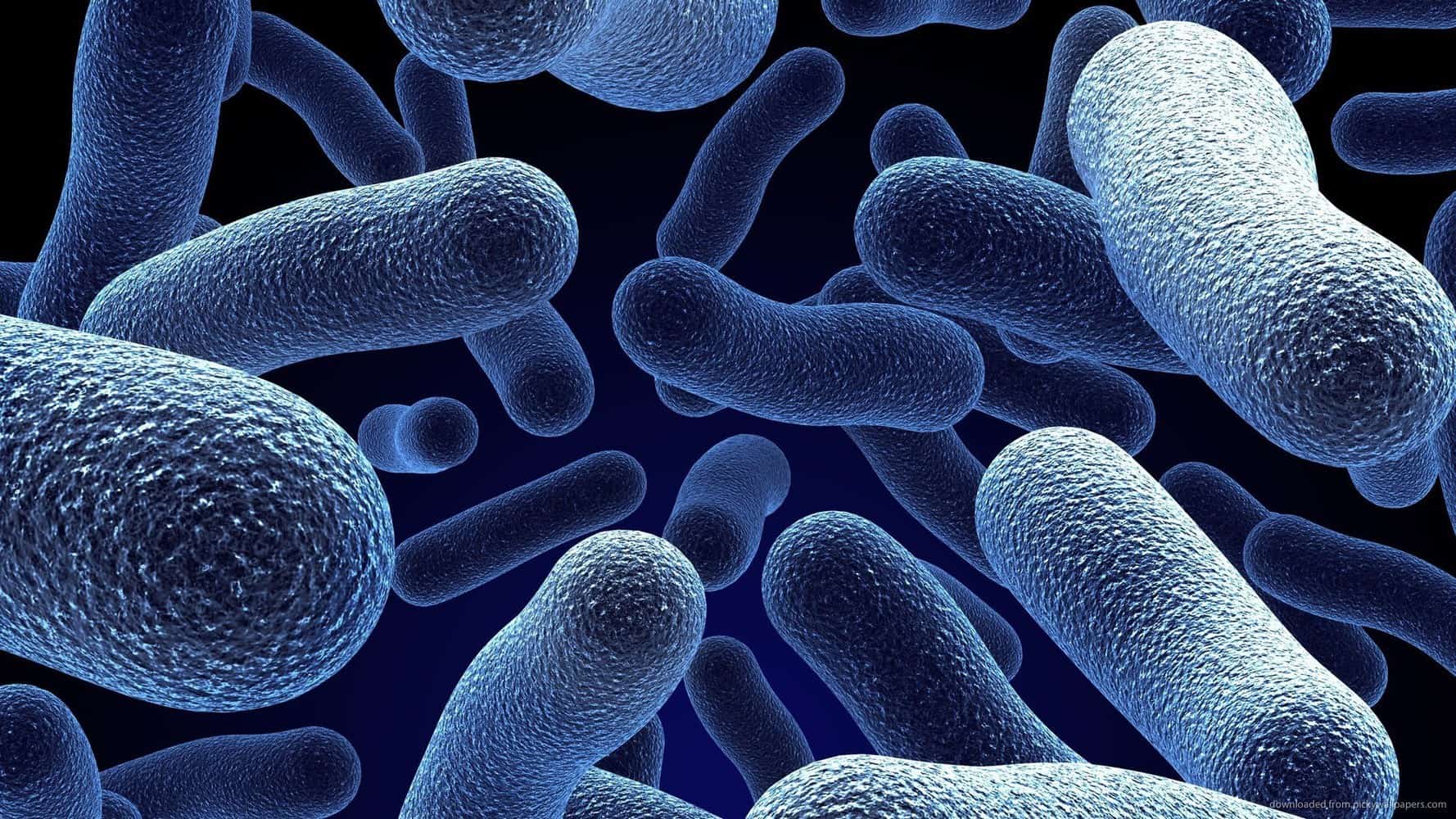 Kaneka invests into Spanish biotech company