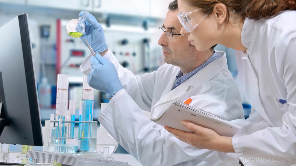 PEF technology to lift food processing in NZ