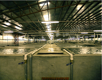 Sino Agro Food signs MoU for aqua development in Angola