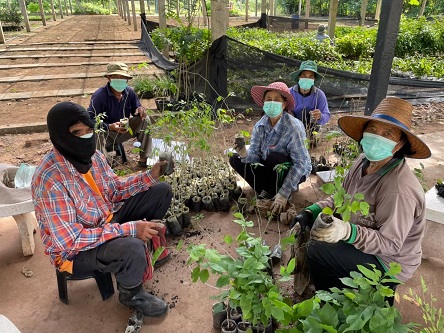 Biodiversity and forest sustainability, keys to the food security : CP foods