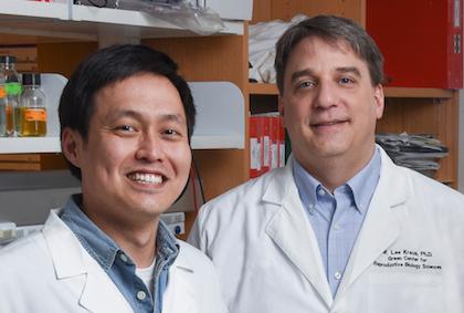 A New Understanding of How Glucose is Shuffling your Fat