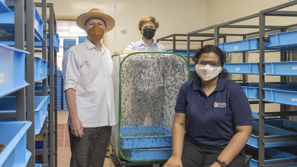Singapore researchers to integrate food waste into bio-economic food production system