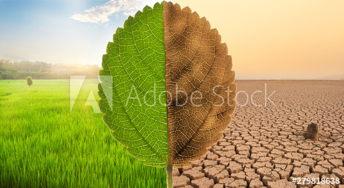 Valio  to set climate targets in line with the Paris Agreement