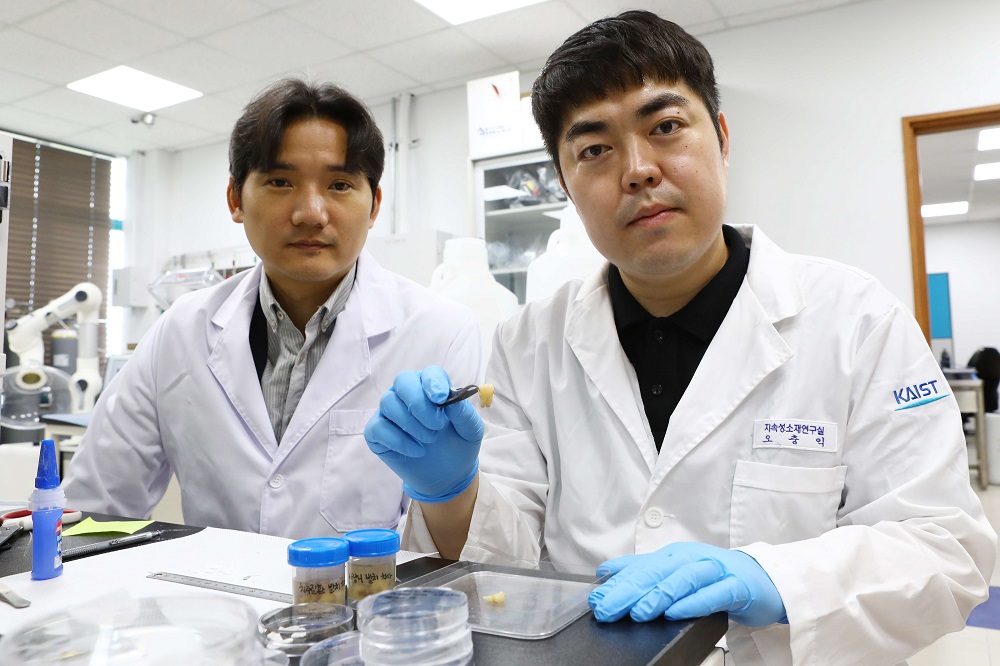 Korea reveals nanoscale dental erosion from beverage consumption
