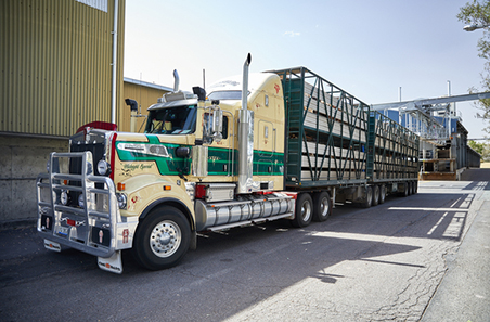 Australia Expands MSA Beef Grading Access for Long-Distance Cattle