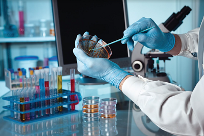 Singapore Food Agency gives nod to sale of cell-cultured meat