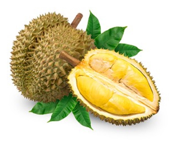 NutryFarm enters into new contracts to buy fresh durians from Thailand