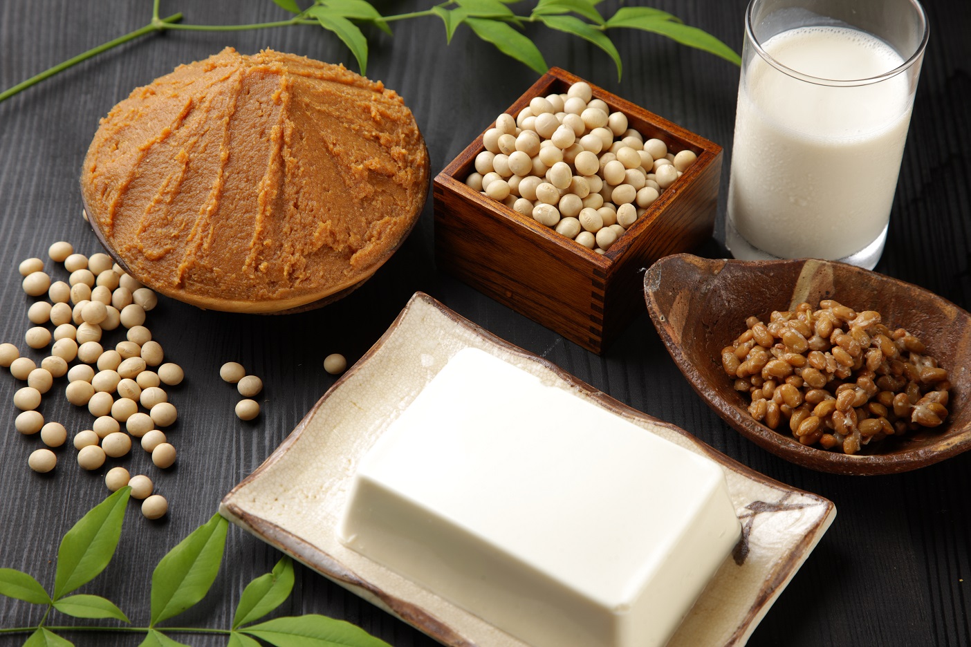 Equinom revolutionizes non-GMO soy cultivation 