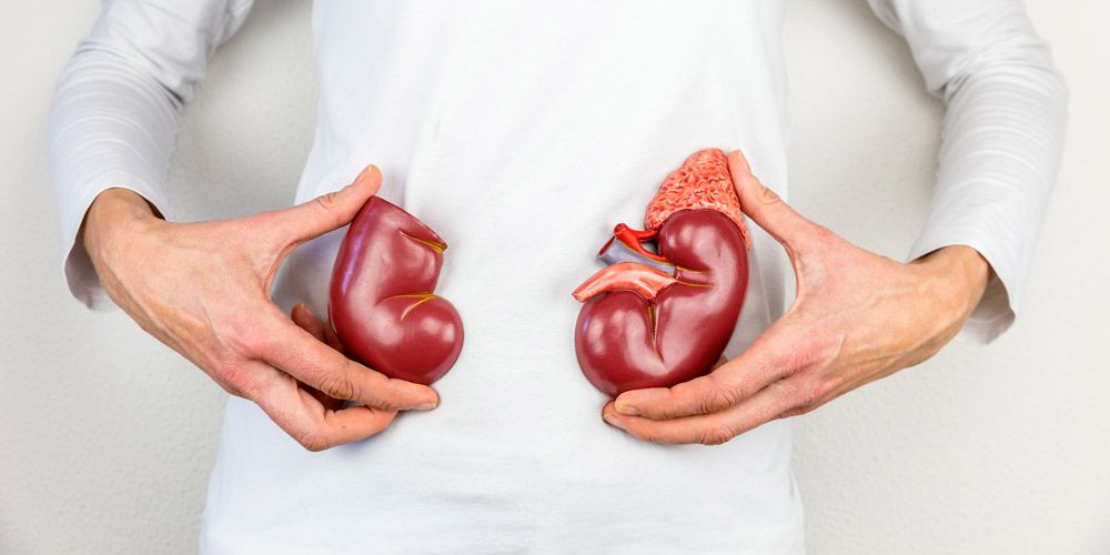 Midsection fat influences survival rate in ladies with kidney disease—yet not men