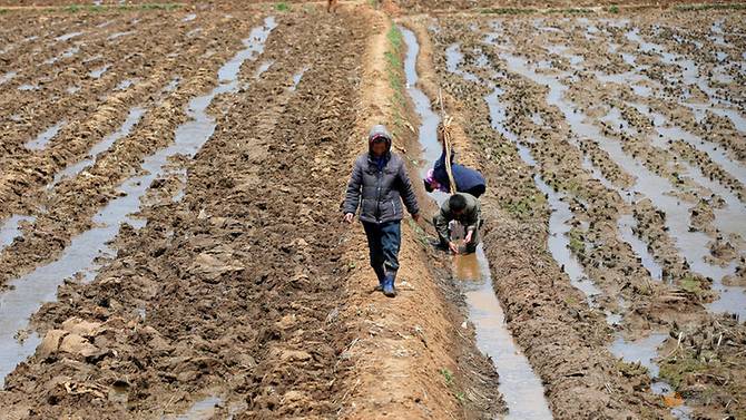 UN meals organisation goals to reinforce resource to North Korea however lacks price range