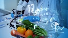 Plug and Play launches new food tech program in Thailand