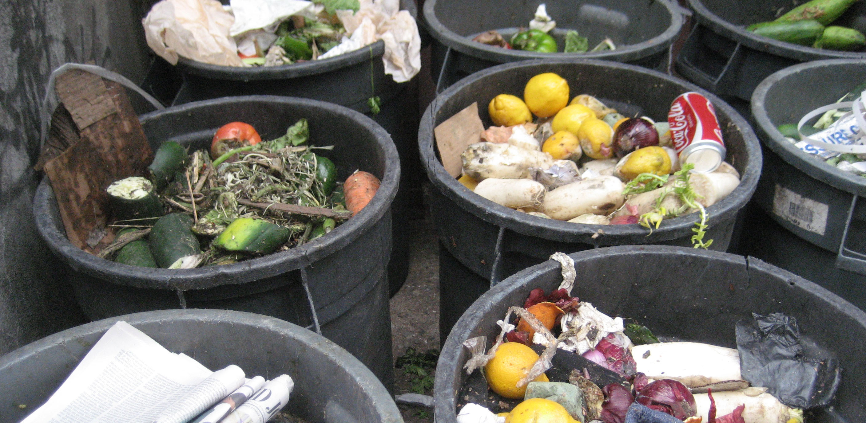 Rabobank Food Loss Challenge Asia announces 20 Startups