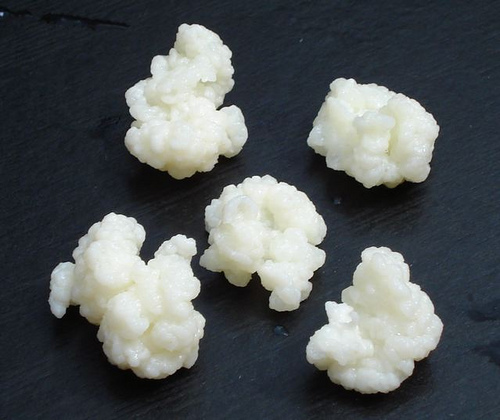 Antioxidant boost by Tibetan Kefir grains