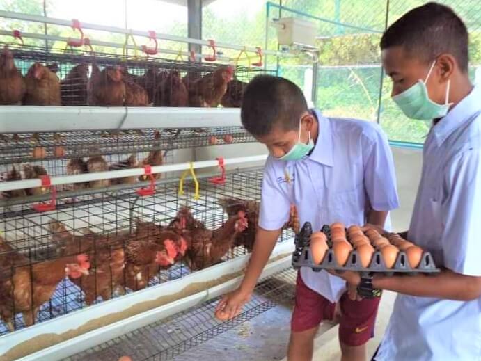 CP Foods’ project helps for food security in Thailand