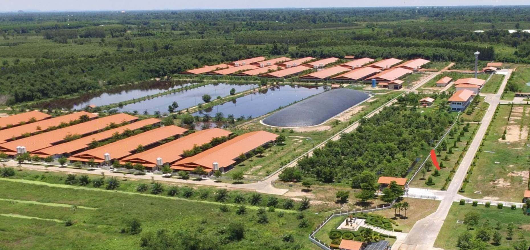 CP Foods has been granted an “Excellent” award in Thailand