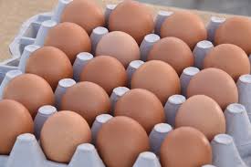 French egg industry launches origin label