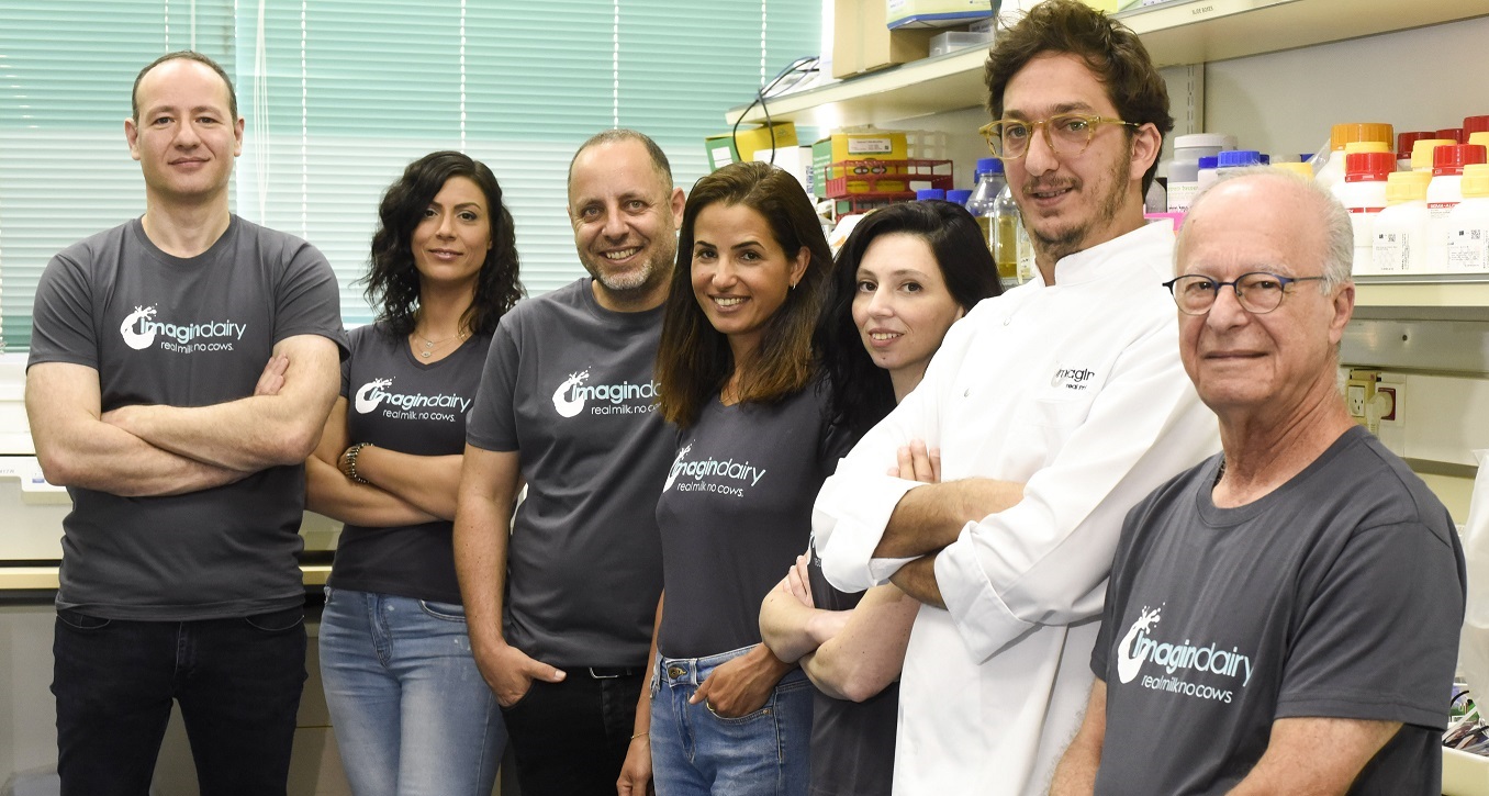 Israeli start-up Imagindairy introduces animal-free dairy proteins 