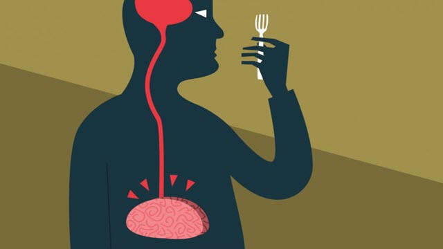 Research Shows Starvation Peptides Sent Through the Brain’s Fluid Give You an Appetite