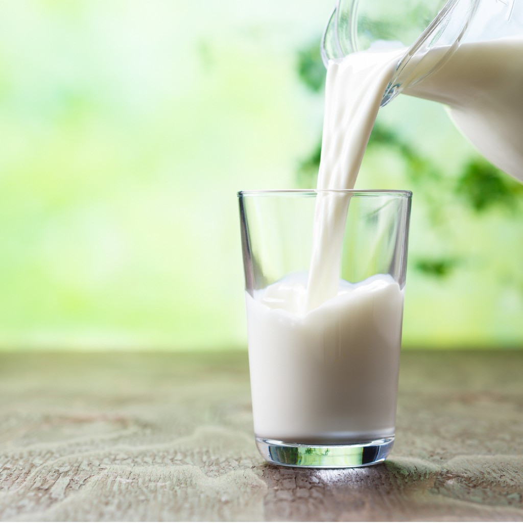 Horizon brings first-ever organic protein milk in market