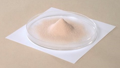 Morinaga Milk expands lactoferrin production capacity