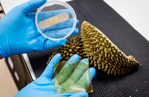 Singapore develops antibacterial gel bandage using durian husk