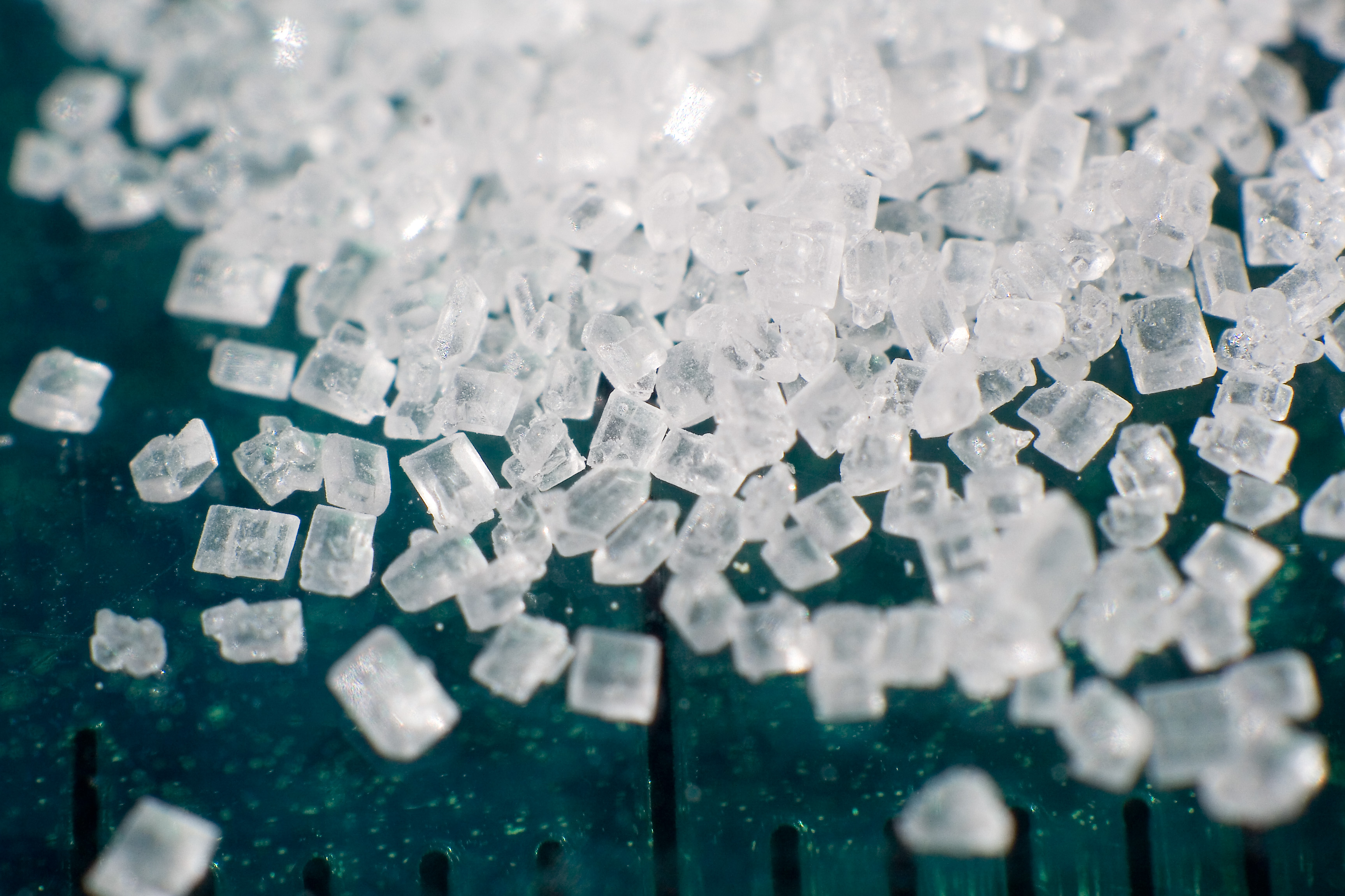 SweetLeaf announced as first Founding Member of Sugarwise Alliance
