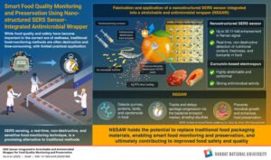 Researchers propose a novel nanostructured SERS sensor integrated into a stretchable and antimicrobial wrapper for food quality monitoring and preservation.