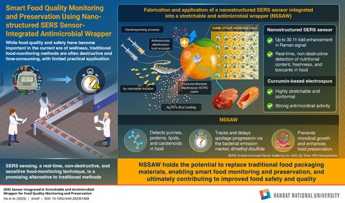 Korean researchers unveil 2-in-1 SERS wrapper with antimicrobial food protection