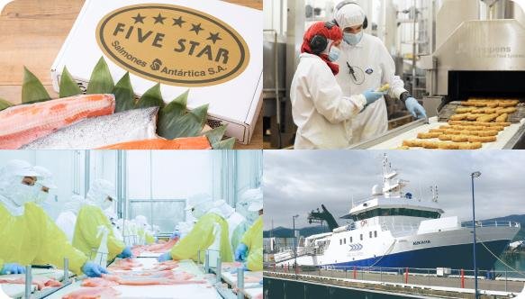 Japan’s Nissui acquires Chilean salmon producer Pesquera Yadran