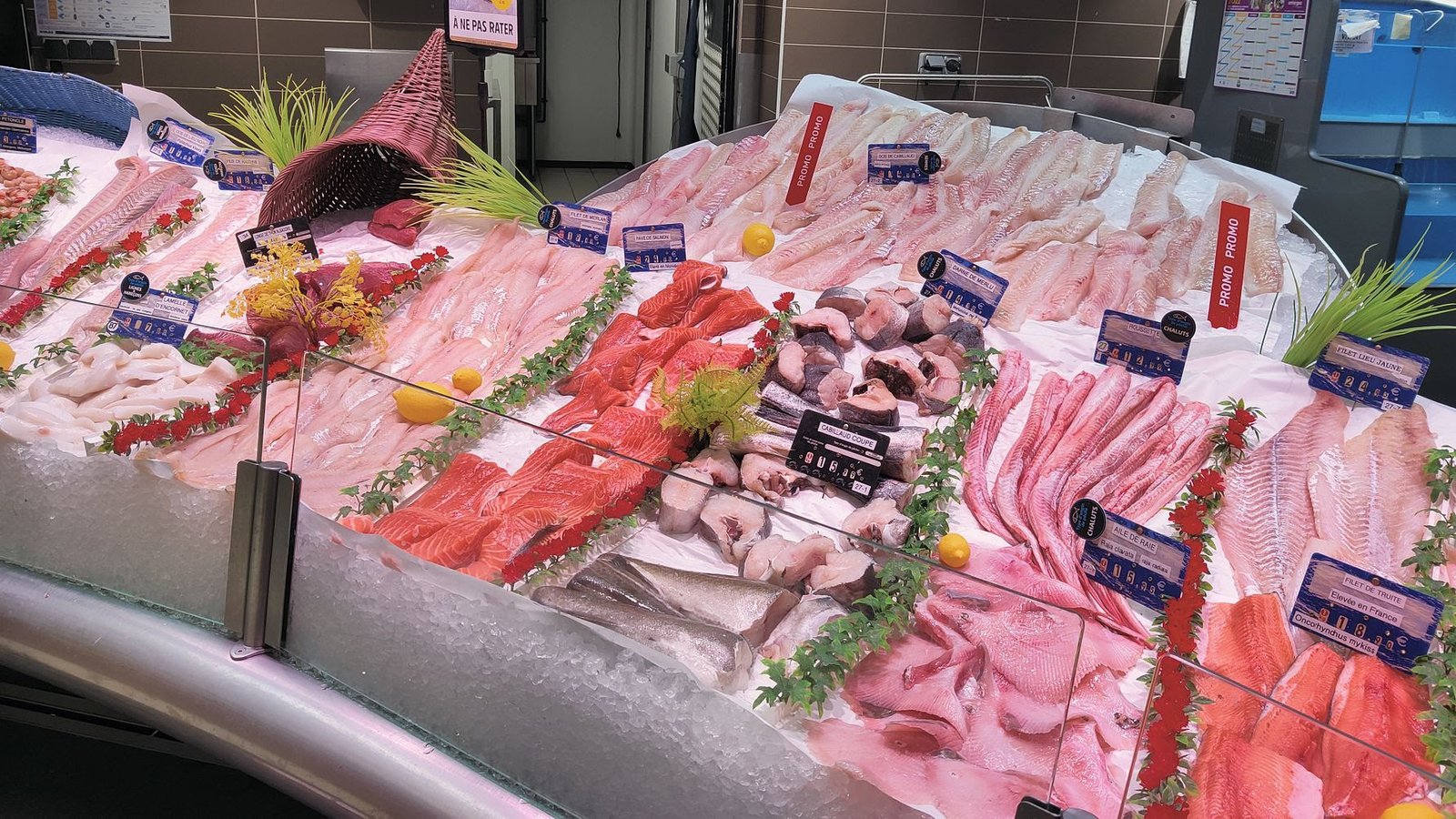 Norway’s Seafood Exports Slip 2% in February amid Wild Catch Decline