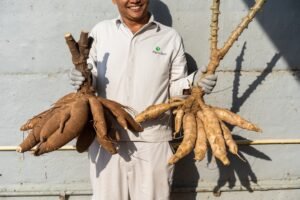 Ingredion’s Thailand Milestone Signals Shift Toward Verified Ingredient Supply Chains