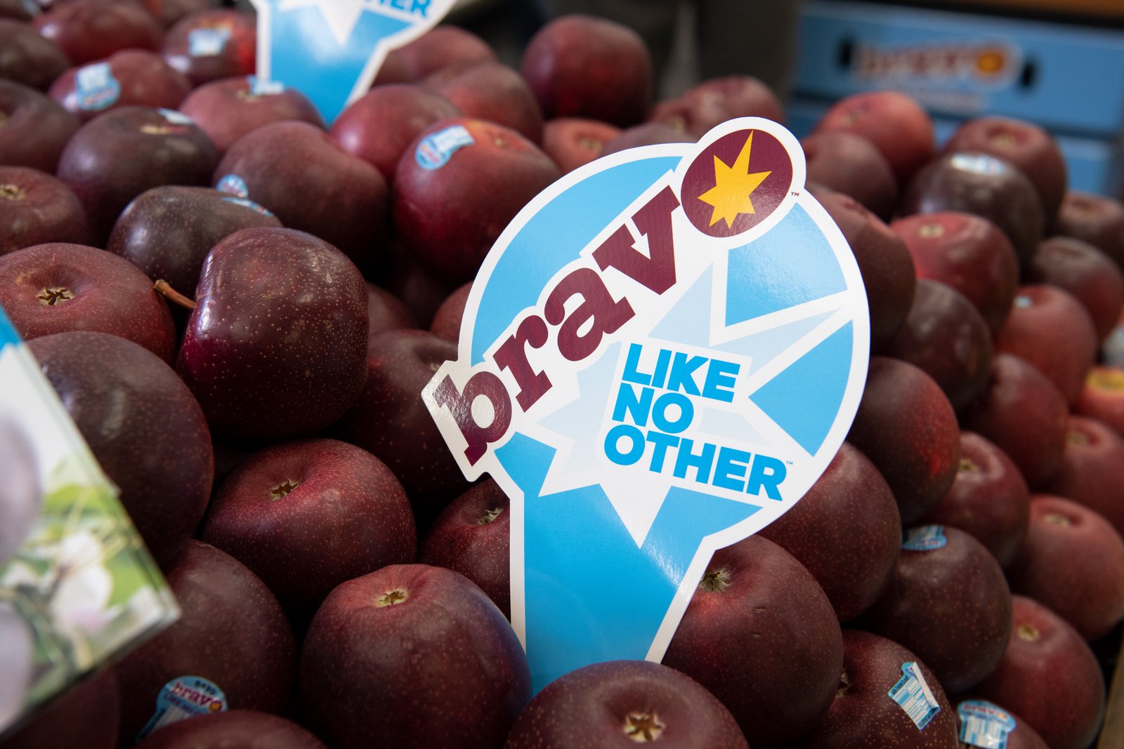 Australia-Developed Bravo Apples Enter China with Inaugural 80-Tonne Shipment