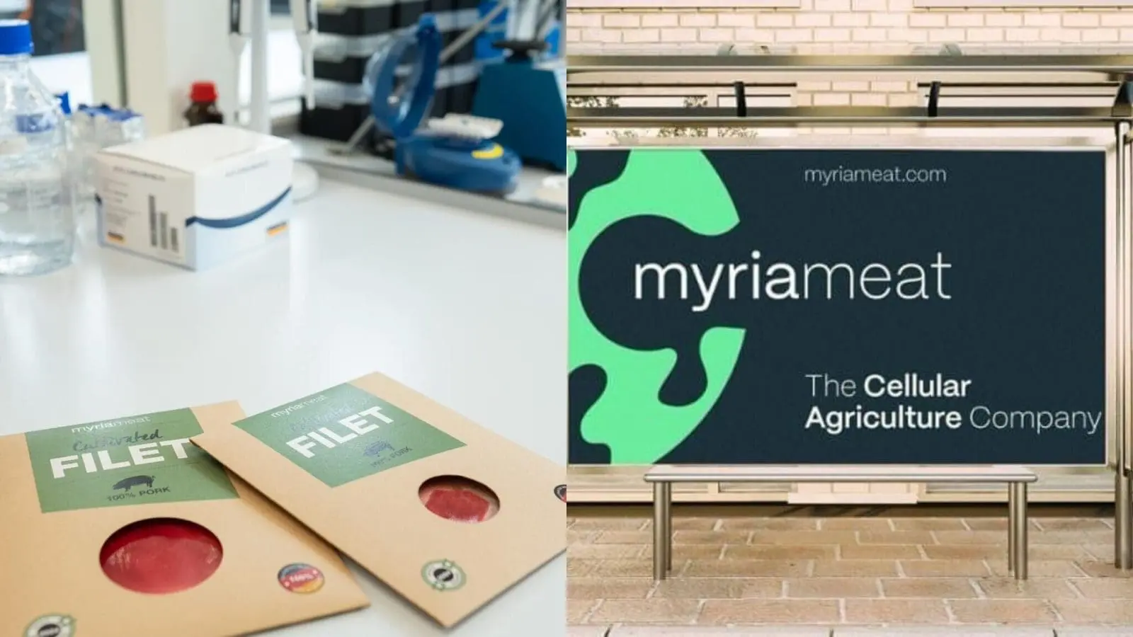 MyriaMeat Expands Cultivated Meat Platform to Roe Deer, Demonstrating Multi-Species Cell Agriculture Potential