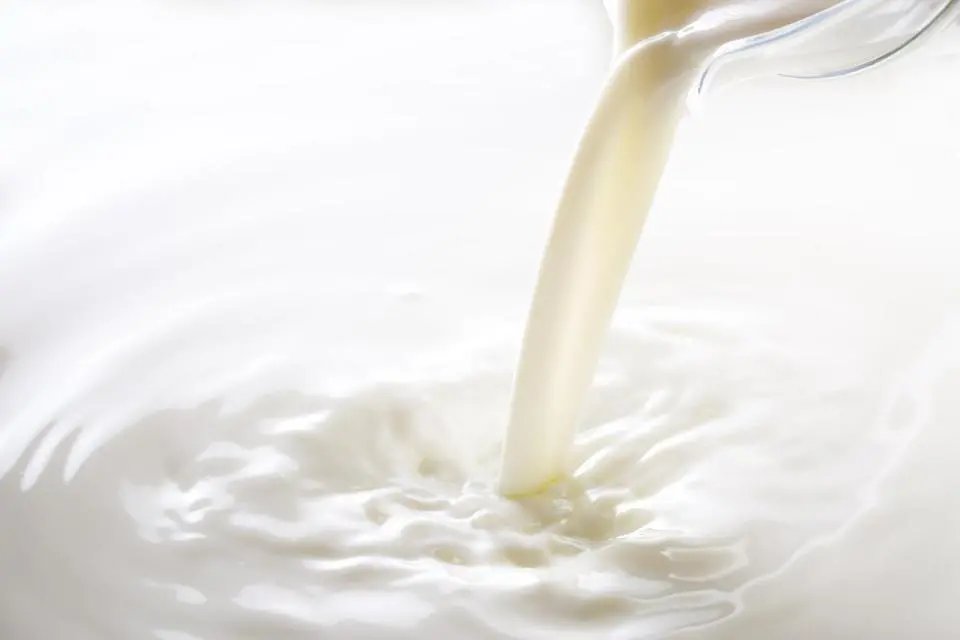 jennewein-biotechnologie-yili-group-to-bring-innovation-to-baby-food-market
