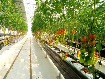 hanarofarm-uses-selenium-for-crop-cultivation-technology