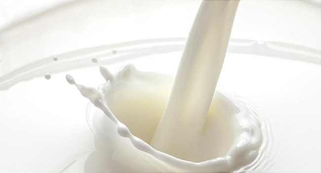 meiji-establishes-new-dairy-unit-in-china