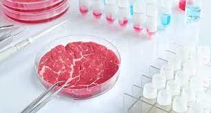 aleph-farms-scales-up-adoption-of-cultivated-meat-in-apac