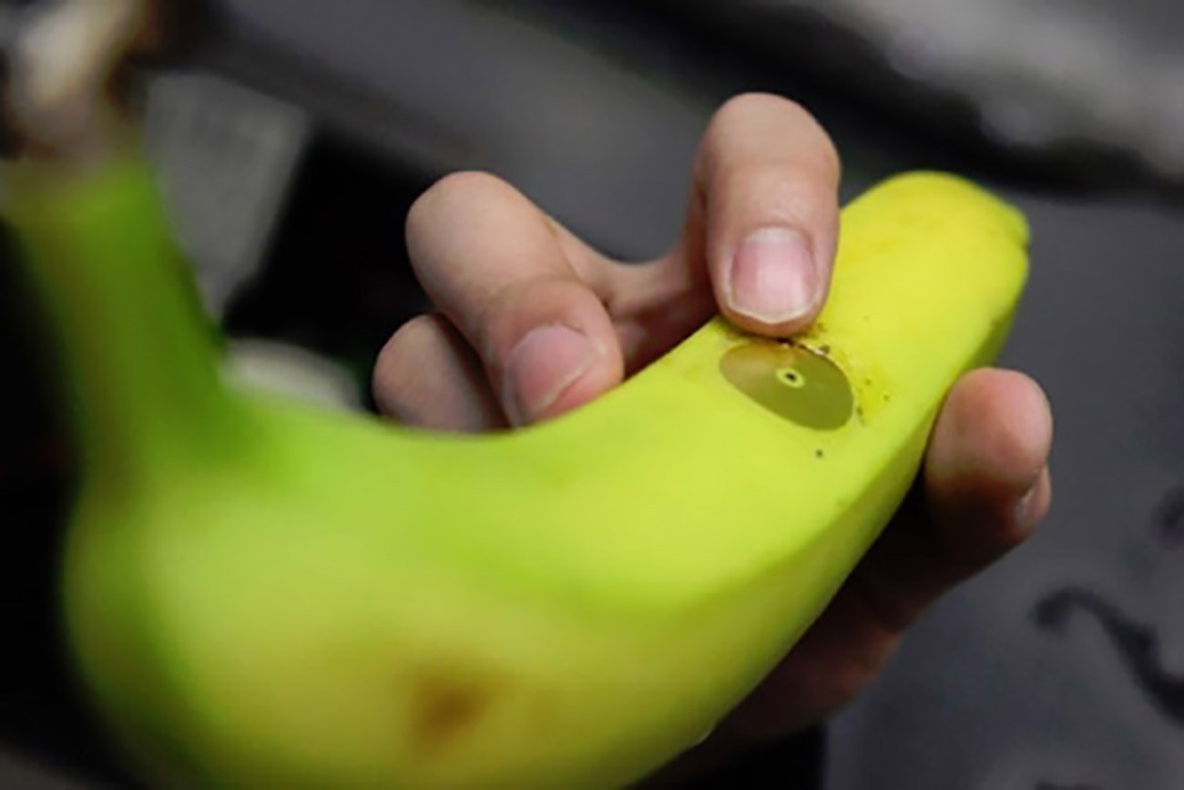 edible-sensor-developed-for-keeping-food-fresh