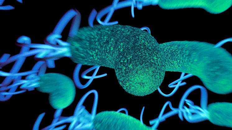 scientists-in-london-work-on-food-poisoning-bacteria