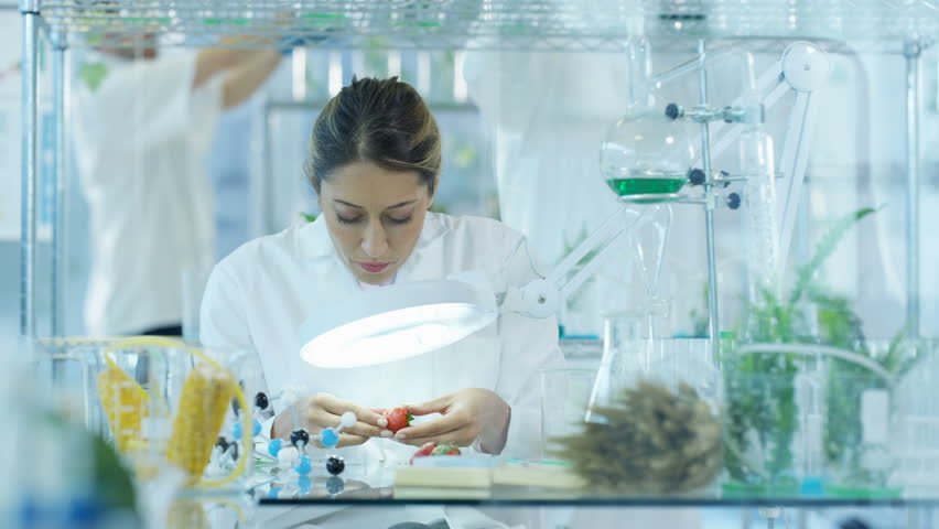 us-researchers-discover-a-drug-for-shrinking-fat