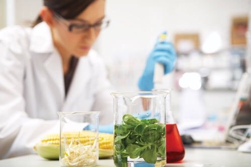 researchers-turn-food-waste-into-fertilisers