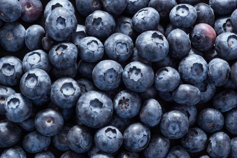 xtend-packaging-retains-the-waxy-bloom-of-blueberries