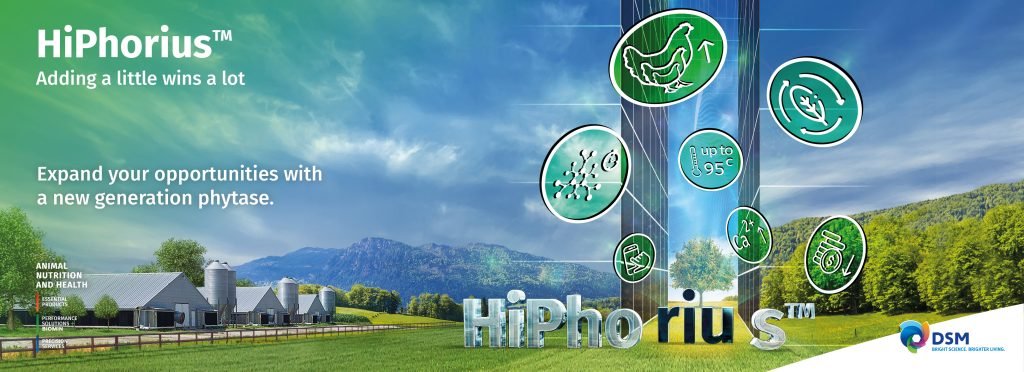 dsm-together-with-novozymes-launches-hiphorius-for-sustainable-protein-production