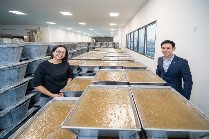 sit-cheng-yew-hengs-partners-for-optimizing-the-crystallization-process-of-rock-sugar
