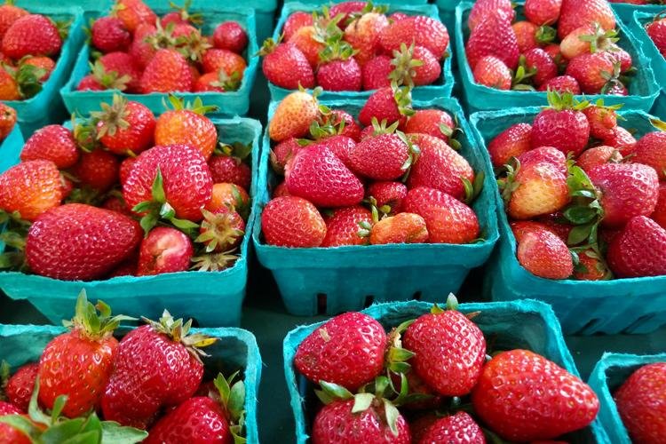 freeze-dried-strawberries-are-great-stabilizers-says-usda