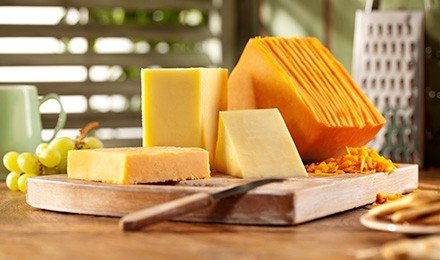 dsm-launches-new-delvocheese-ch-120-culture-range