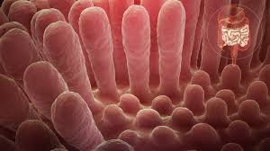 food-additive-may-cause-coeliac-disease-says-a-research