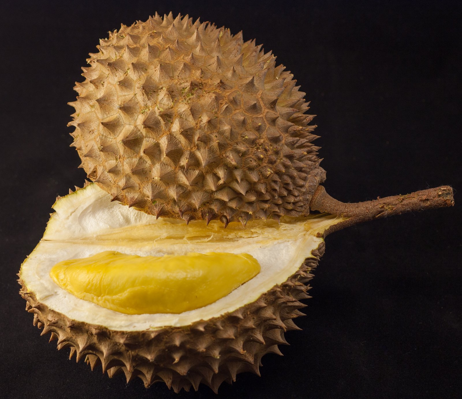 Malaysian govt to study aphrodisiac claims of durians NUFFOODS